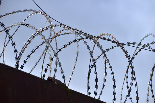 A Ring Of Barbed Wire On A Fence.