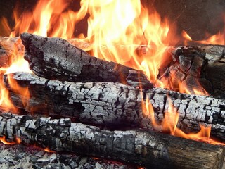 Burning bonfire. Flame. Photo of burning firewood in the forest at a picnic. - 535889084
