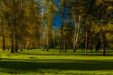 Stromovka park in centre of Ceske Budejovice city with green grass and trees