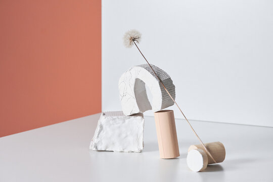 Horizontal studio shot of trendy still life composition of gypsum, concrete and wooden objects with dandelion, white and pastel coral background