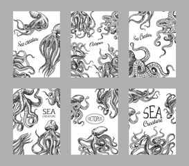 Sea octopus set. Sea creature Background. Engraved hand drawn in old sketch, vintage creature. Nautical or marine, monster. Template for logos, labels and emblems. Banner poster template. © artbalitskiy