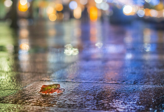 Night urban landscape, colored lights reflected in the wet asphalt in fall. Rainy night street in the city.
The lights of a rainy night in the autumn city of disfocus and bokeh.