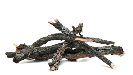 Dry branches, twigs for camp fire