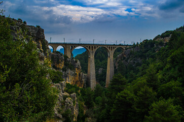 bridge over the river