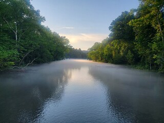 morning in the park