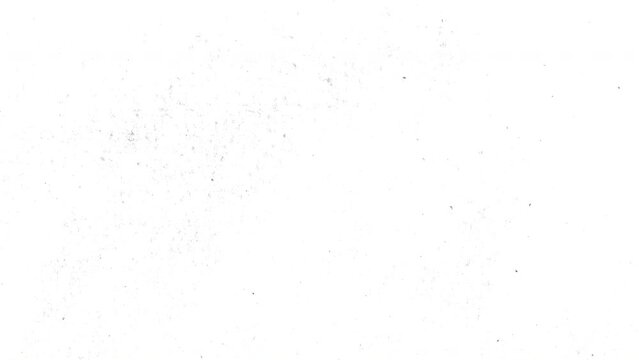 White Grains and dust background loop, Grains grunge texture loop background