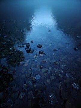 scene at night