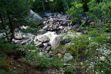 Fototapeta na wymiar Looking down at rocky river in wilmington new york wilderness, with water rushing over large boulders and surrounded by trees on both sides.