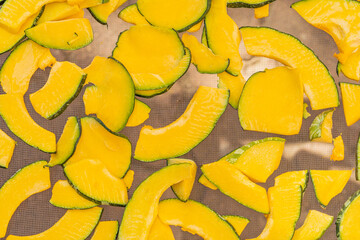 Air Dried Fresh Pumpkin Slices