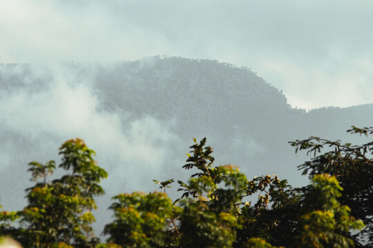Moody cold cloudy and foggy morning mountain landscape picture from puerto rico 