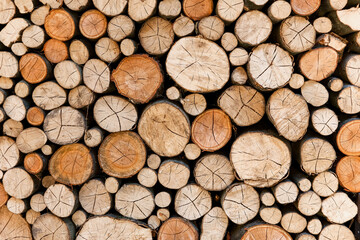 Cross section of tree trunks, timber background. Log trunks pile, the logging timber wood industry. Cutting tree trunks placed together for interior decorate. Decoration of cutting tree.