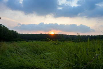 a meadow with a beautiful evening sky and the sun setting on the horizon