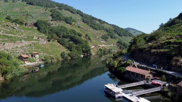 drone aerial view of belesar showing the the vineyards in Ribeira Sacra. 4K