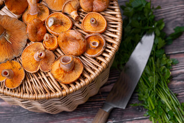 Lactarius deliciosus - the most sought-after edible mushrooms.