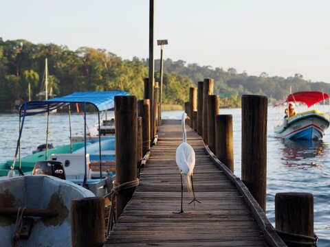 Rio Dulce