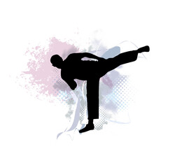 Young male karate warrior. Healthy lifestyle. Martial arts. - 535899207