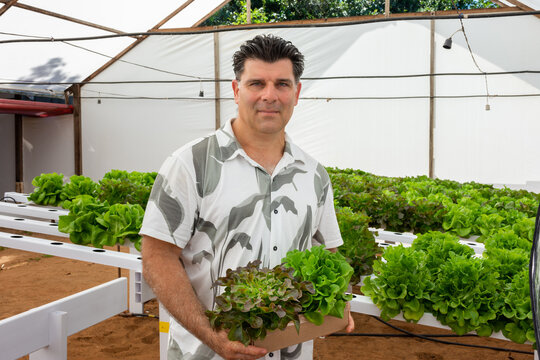 Homem empreendedor feliz com planta&ccedil;&atilde;o hidrop&ocirc;nica de alface 