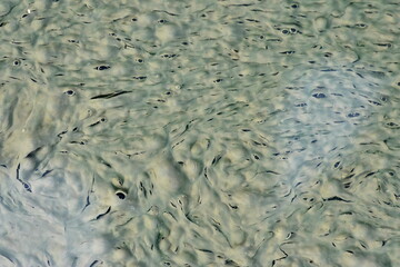 Abstract shapes with bubbles like eyes and faces,in the pond.