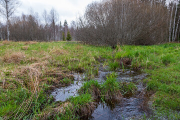 Obraz na płótnie Canvas Sumava protected landscape area in the Czech Republic in Europe. Area Chalupska slat - forests, meadows, path to slat.