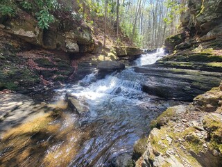 waterfall in the forest