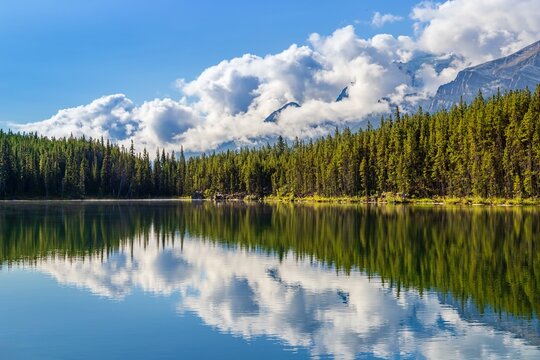 Tranquil Mountain Reflections On An Alberta Lake © Lisa