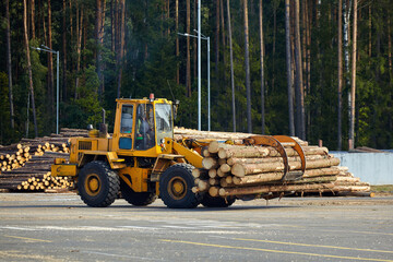 the loader transports large sawn logs for further processing