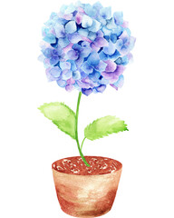 Watercolor garden flowers.