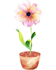 Watercolor garden flowers.