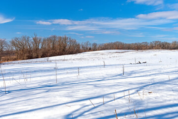 Quiet Shadows on a Winter Scene