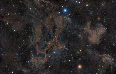 LDN 1295 Dark Nebula