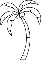 coconut tree design illustration isolated on transparent background 