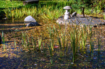 Japanese Garden. botanical park in early autumn. Japanese lantern tachi-gata