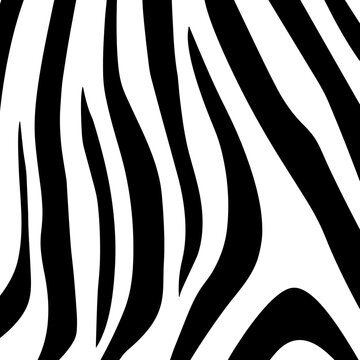 Zebra skin pattern texture illustrated background image