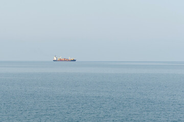 A view through the trees of a freighter moving across the sea in the distance.