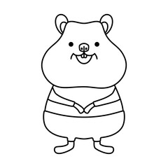 Australian quokka animal cartoon character. Vector illustration of a cute wild marsupial rodent