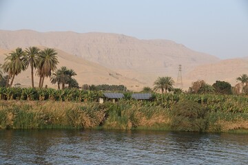 Nil – najdłuższa rzeka świata , zycie na rzece - obrazy, fototapety, plakaty