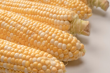 Yellow corn isolated on white background. Copyspace.