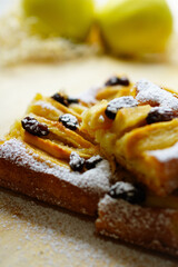 Homemade apple cake with raisins sprinkled with powdered sugar