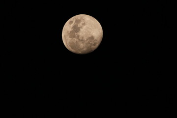 full moon in the night