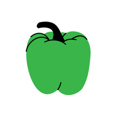 Whole pepper sketch. Vegetarian healthy food illustration. Jalapeno, poblano, bell pepper, serrano. Green pepper drawing. Vector illustration