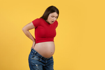 Health Care Concept. Portrait Of Pregnant Young Woman Suffering Lover Back Pain