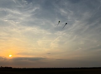 kite in the sky