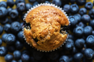 Blueberry muffin on a bluberries. Top view. - 535918898