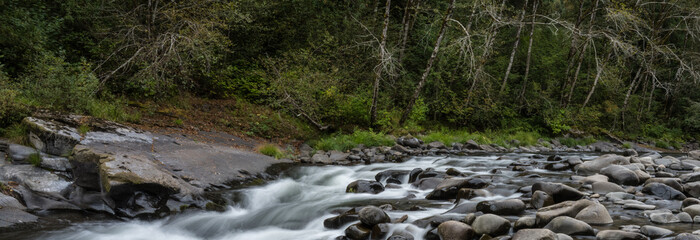 water flowing in the forest