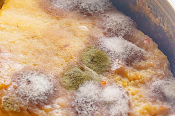 close up. multi-colored mold on canned food. spoiled products. 