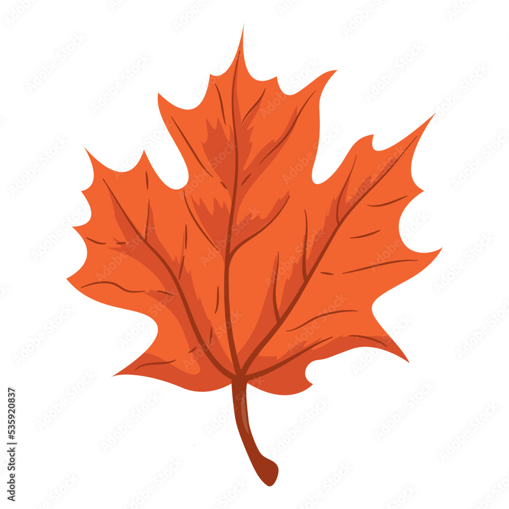 Canvas Prints red maple leaf autumnal