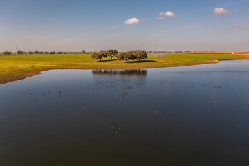 Lago com Chaparros - Alentejo