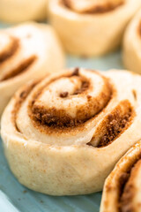 Cinnamon rolls