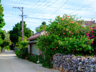 竹富島の町並み