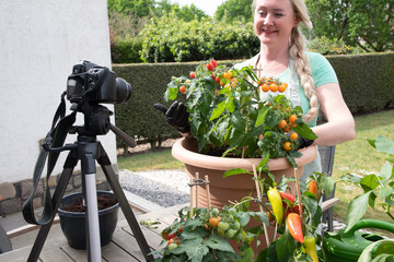 Fototapete bei efototapeten.de bestellen   